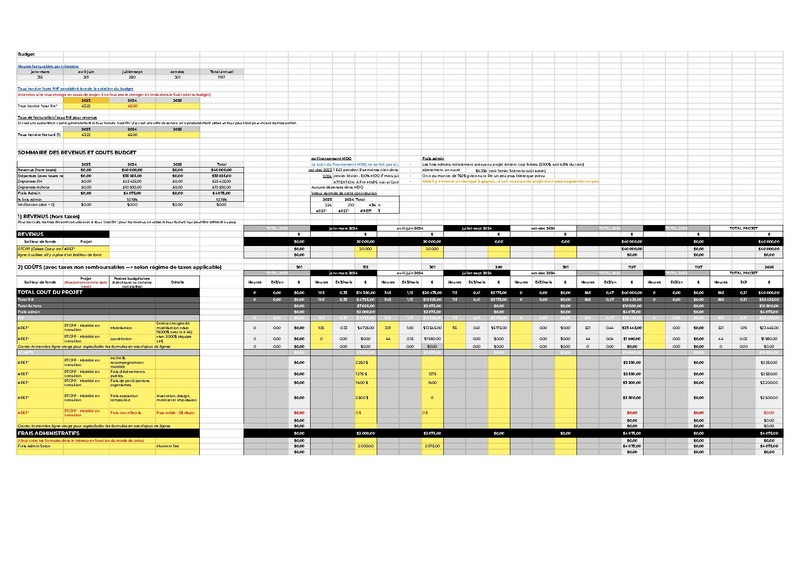 Fichier:Budget Prévisionnel.xlsx - 2. Budget.pdf